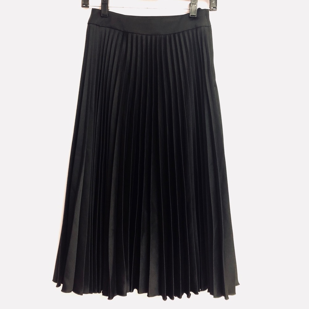Pleated Skirt